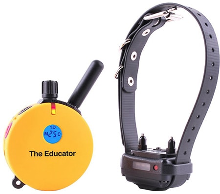 Pädagoge E-Collar Technologies Hundetraining Halsband