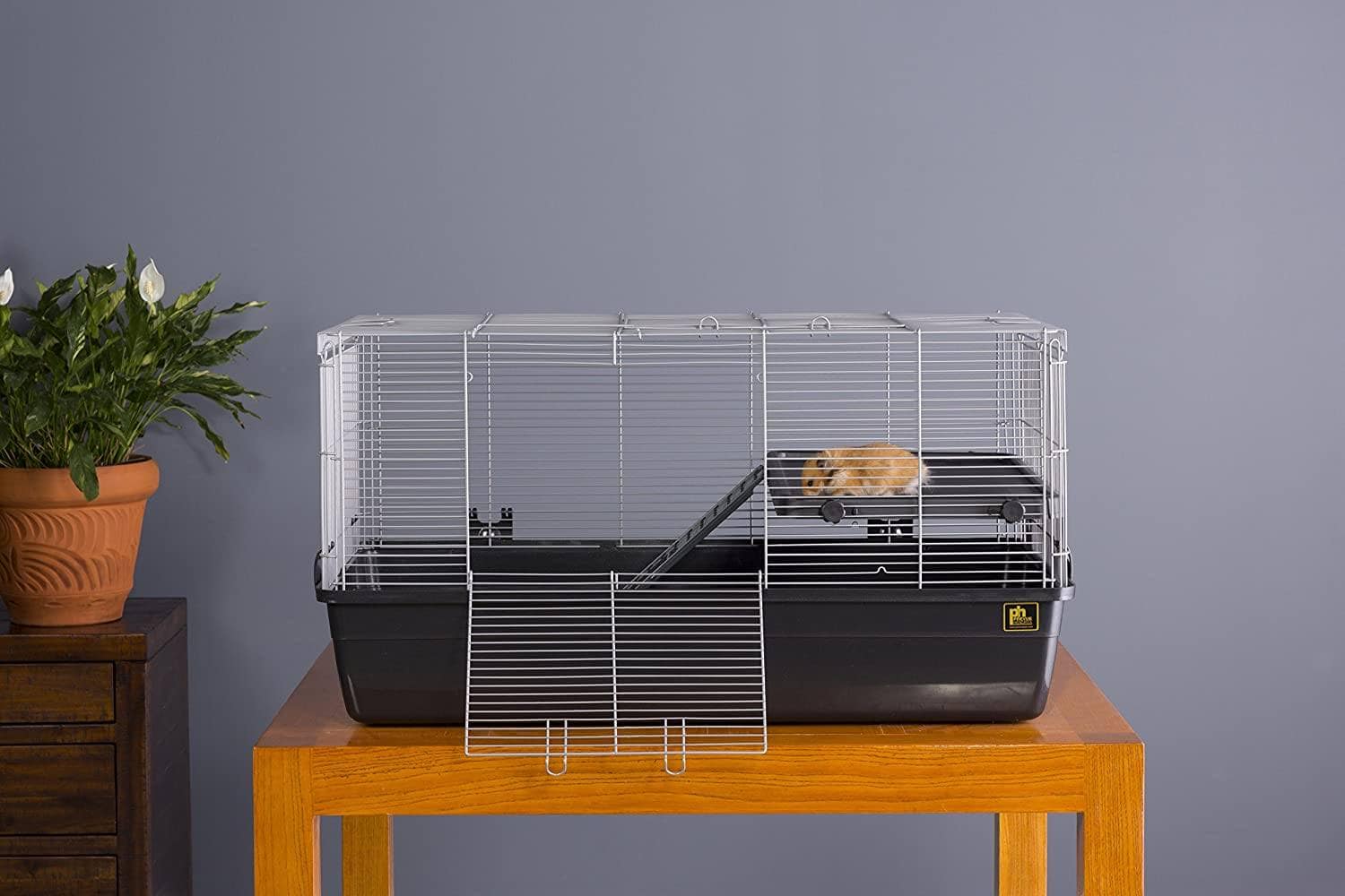 Hamster Cage Prevue Pet Products 528-Amazon